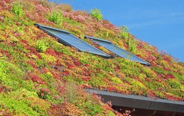 Moyallan living roof systems