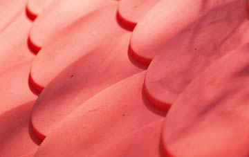 Moyallan plastic roof costs