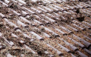 Moyallan roof cleaning companies